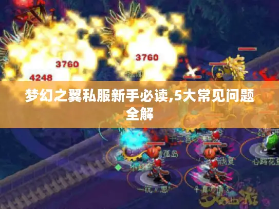 梦幻之翼私服新手必读,5大常见问题全解