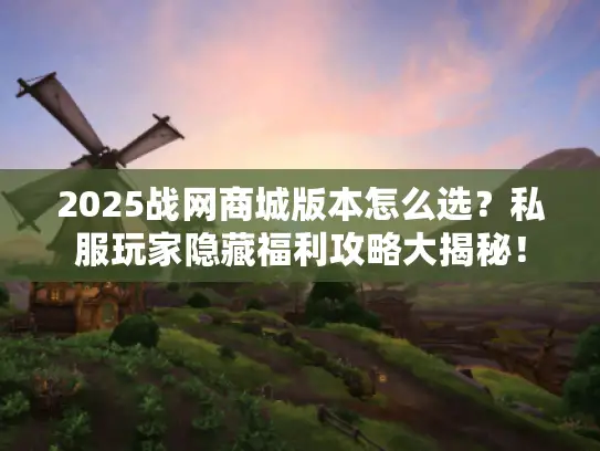 2025战网商城版本怎么选？私服玩家隐藏福利攻略大揭秘！