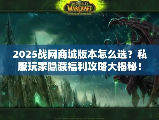 2025战网商城版本怎么选？私服玩家隐藏福利攻略大揭秘！