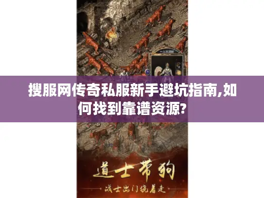 搜服网传奇私服新手避坑指南,如何找到靠谱资源?