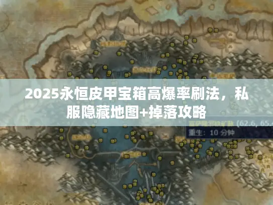 2025永恒皮甲宝箱高爆率刷法，私服隐藏地图+掉落攻略