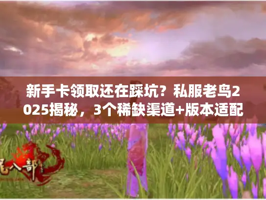 新手卡领取还在踩坑？私服老鸟2025揭秘，3个稀缺渠道+版本适配干货
