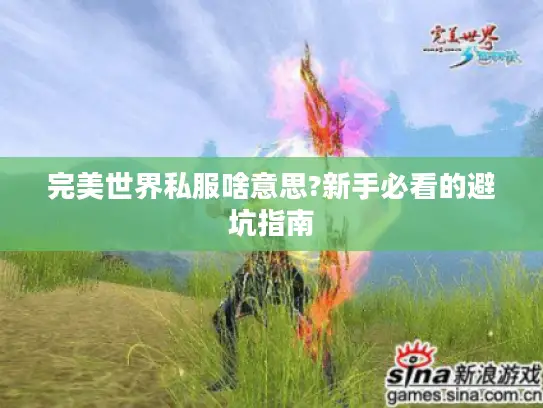 完美世界私服啥意思?新手必看的避坑指南 完美世界私服啥意思?新手必看的避坑指南