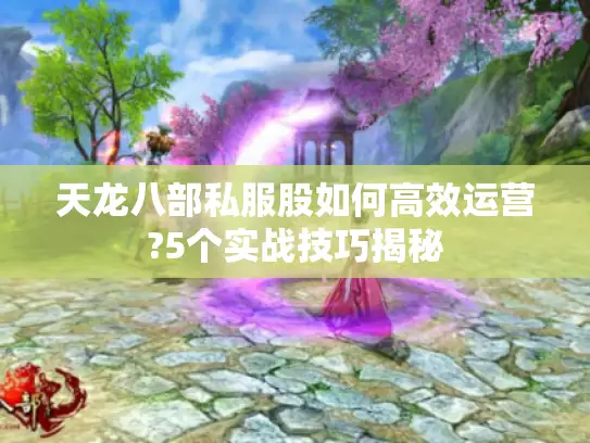 天龙八部私服股如何高效运营?5个实战技巧揭秘