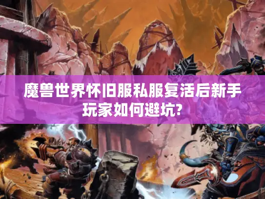 魔兽世界怀旧服私服复活后新手玩家如何避坑? 魔兽世界怀旧服私服复活后新手玩家如何避坑?