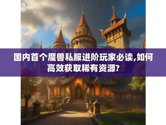 国内首个魔兽私服进阶玩家必读,如何高效获取稀有资源?