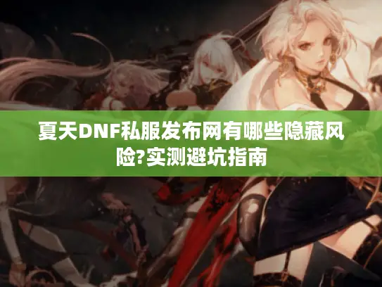 夏天DNF私服发布网有哪些隐藏风险?实测避坑指南