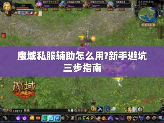 魔域私服辅助怎么用?新手避坑三步指南