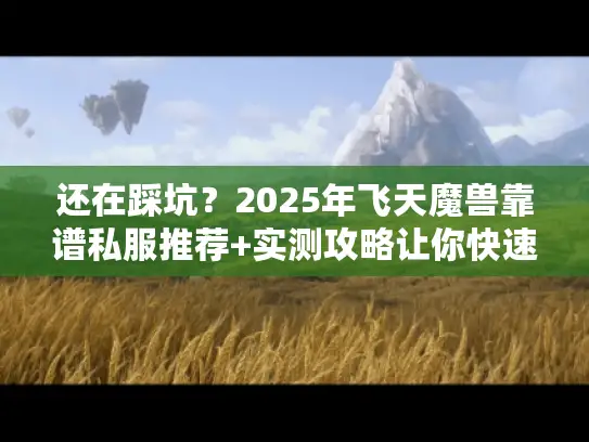 还在踩坑？2025年飞天魔兽靠谱私服推荐+实测攻略让你快速起飞