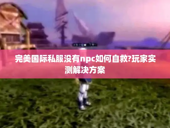 完美国际私服没有npc如何自救?玩家实测解决方案 完美国际私服没有npc如何自救?玩家实测解决方案