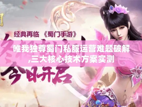 唯我独尊蜀门私服运营难题破解,三大核心技术方案实测