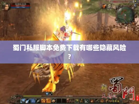 蜀门私服脚本免费下载有哪些隐藏风险?