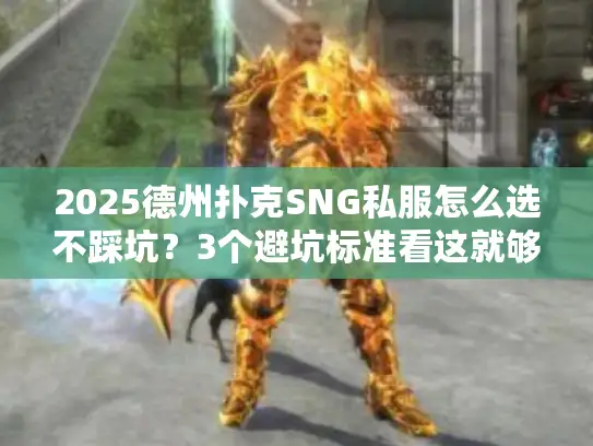 2025德州扑克SNG私服怎么选不踩坑？3个避坑标准看这就够