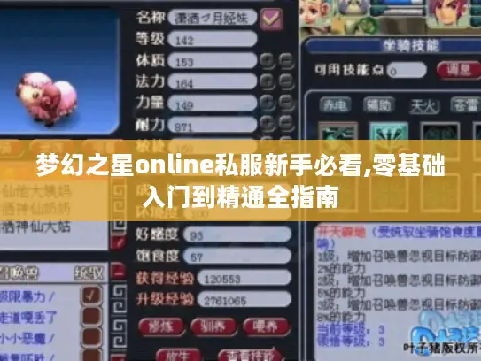 梦幻之星online私服新手必看,零基础入门到精通全指南 梦幻之星online私服新手必看,零基础入门到精通全指南