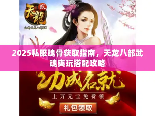2025私服魂骨获取指南，天龙八部武魂爽玩搭配攻略