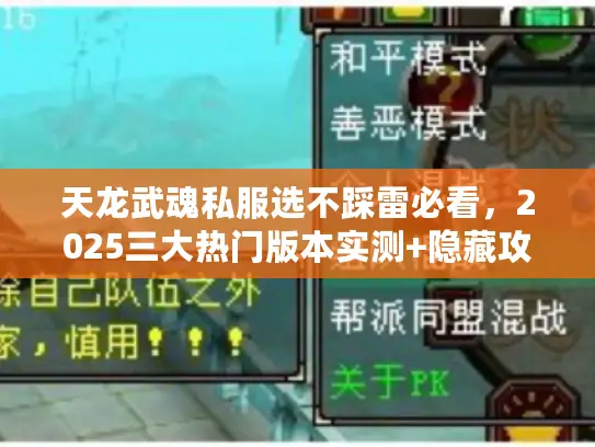 天龙武魂私服选不踩雷必看，2025三大热门版本实测+隐藏攻略全曝