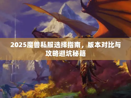2025魔兽私服选择指南，版本对比与攻略避坑秘籍