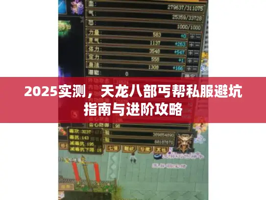 2025实测，天龙八部丐帮私服避坑指南与进阶攻略