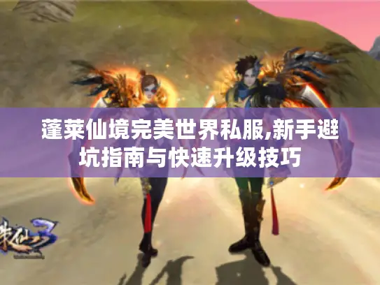 蓬莱仙境完美世界私服,新手避坑指南与快速升级技巧