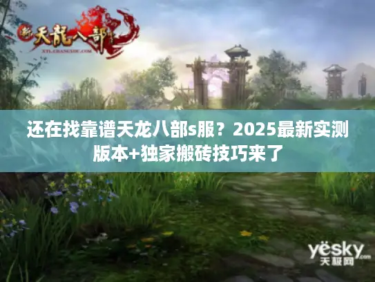 还在找靠谱天龙八部s服？2025最新实测版本+独家搬砖技巧来了