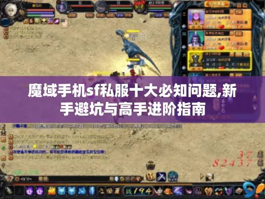 魔域手机sf私服十大必知问题,新手避坑与高手进阶指南 魔域手机sf私服十大必知问题,新手避坑与高手进阶指南