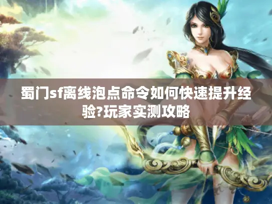 蜀门sf离线泡点命令如何快速提升经验?玩家实测攻略