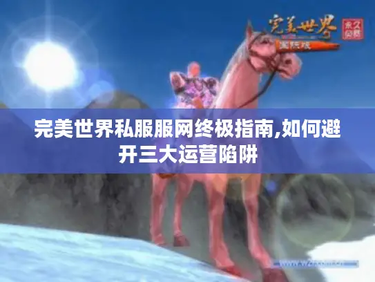 完美世界私服服网终极指南,如何避开三大运营陷阱