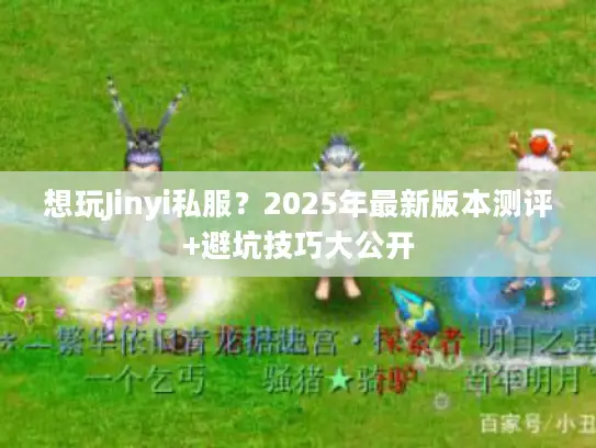 想玩Jinyi私服？2025年最新版本测评+避坑技巧大公开