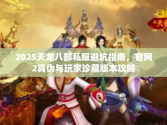 2025天龙八部私服避坑指南，官网2真伪与玩家珍藏版本攻略