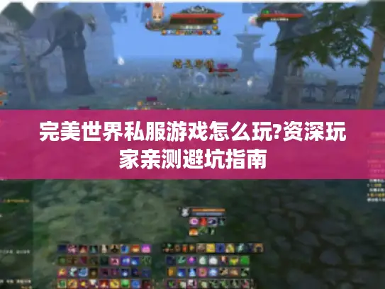 完美世界私服游戏怎么玩?资深玩家亲测避坑指南
