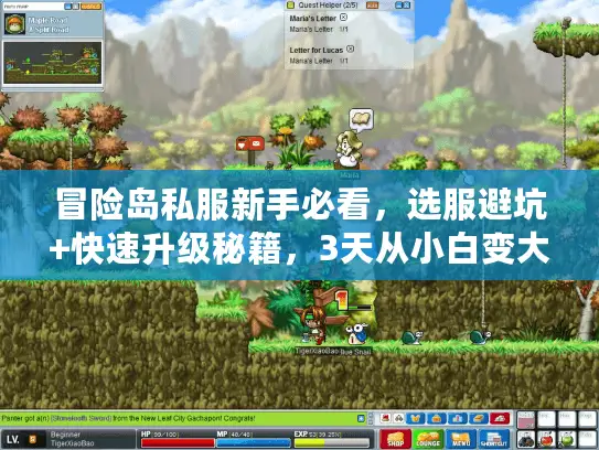 冒险岛私服新手必看，选服避坑+快速升级秘籍，3天从小白变大佬？