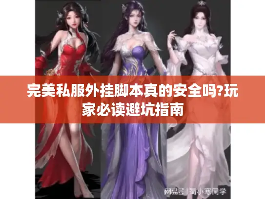 完美私服外挂脚本真的安全吗?玩家必读避坑指南