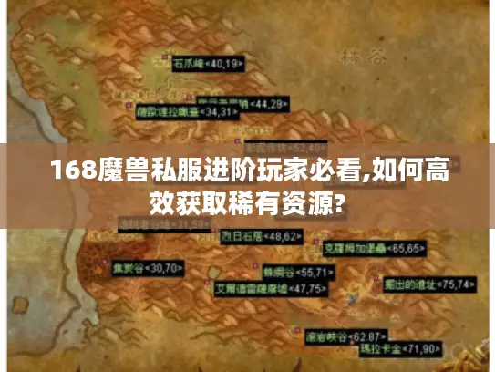 168魔兽私服进阶玩家必看,如何高效获取稀有资源?