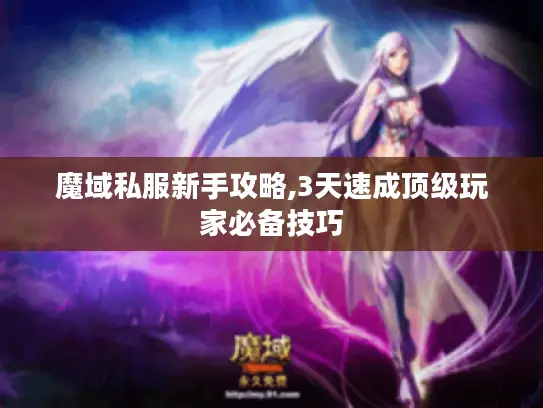 魔域私服新手攻略,3天速成顶级玩家必备技巧 魔域私服新手攻略,3天速成顶级玩家必备技巧