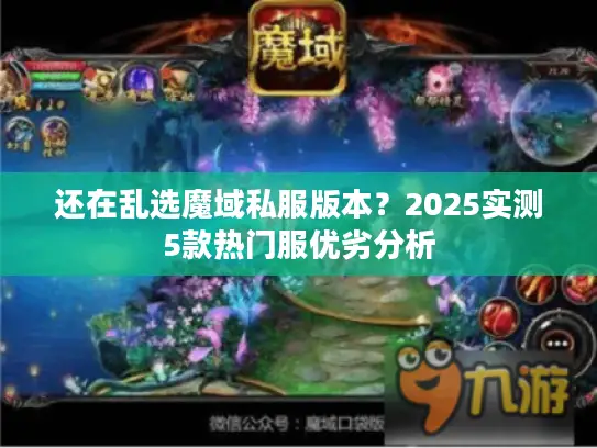 还在乱选魔域私服版本？2025实测5款热门服优劣分析