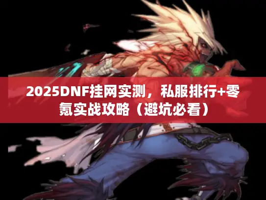2025DNF挂网实测,私服排行+零氪实战攻略(避坑必看) 2025DNF挂网实测,私服排行+零氪实战攻略(避坑必看)