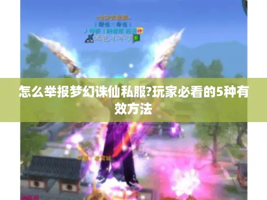 怎么举报梦幻诛仙私服?玩家必看的5种有效方法