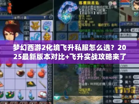 梦幻西游2化境飞升私服怎么选？2025最新版本对比+飞升实战攻略来了！