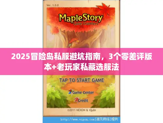 2025冒险岛私服避坑指南，3个零差评版本+老玩家私藏选服法