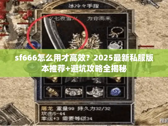 sf666怎么用才高效？2025最新私服版本推荐+避坑攻略全揭秘