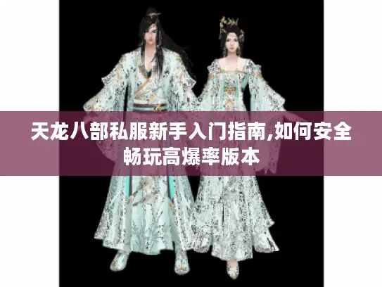 天龙八部私服新手入门指南,如何安全畅玩高爆率版本 天龙八部私服新手入门指南,如何安全畅玩高爆率版本