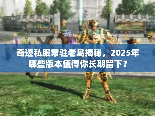 奇迹私服常驻老鸟揭秘，2025年哪些版本值得你长期留下？