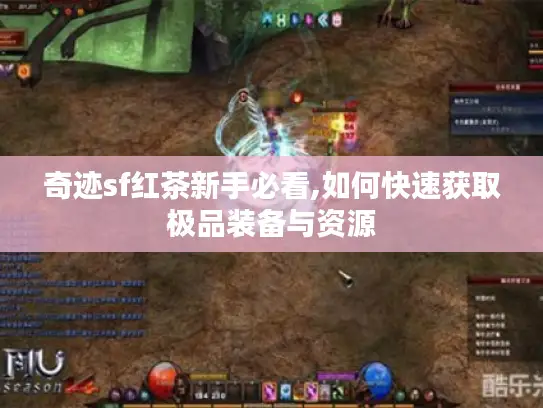 奇迹sf红茶新手必看,如何快速获取极品装备与资源
