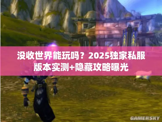 没收世界能玩吗？2025独家私服版本实测+隐藏攻略曝光