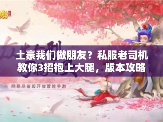 土豪我们做朋友?私服老司机教你3招抱上大腿,版本攻略全拿捏! 土豪我们做朋友?私服老司机教你3招抱上大腿,版本攻略全拿捏!