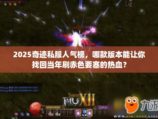 2025奇迹私服人气榜，哪款版本能让你找回当年刷赤色要塞的热血？