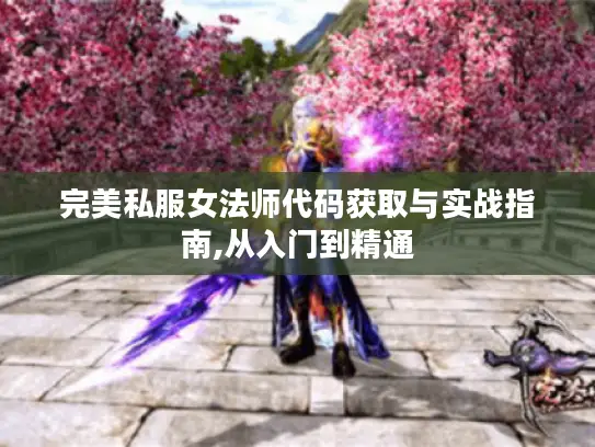 完美私服女法师代码获取与实战指南,从入门到精通
