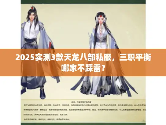 2025实测3款天龙八部私服,三职平衡哪家不踩雷? 2025实测3款天龙八部私服,三职平衡哪家不踩雷?