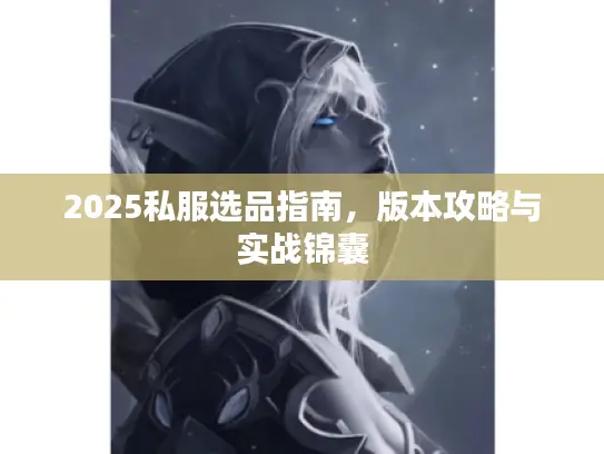 2025私服选品指南，版本攻略与实战锦囊