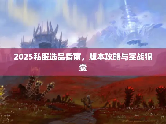 2025私服选品指南，版本攻略与实战锦囊
